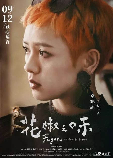 花椒之味深度解析,花椒之味完整版