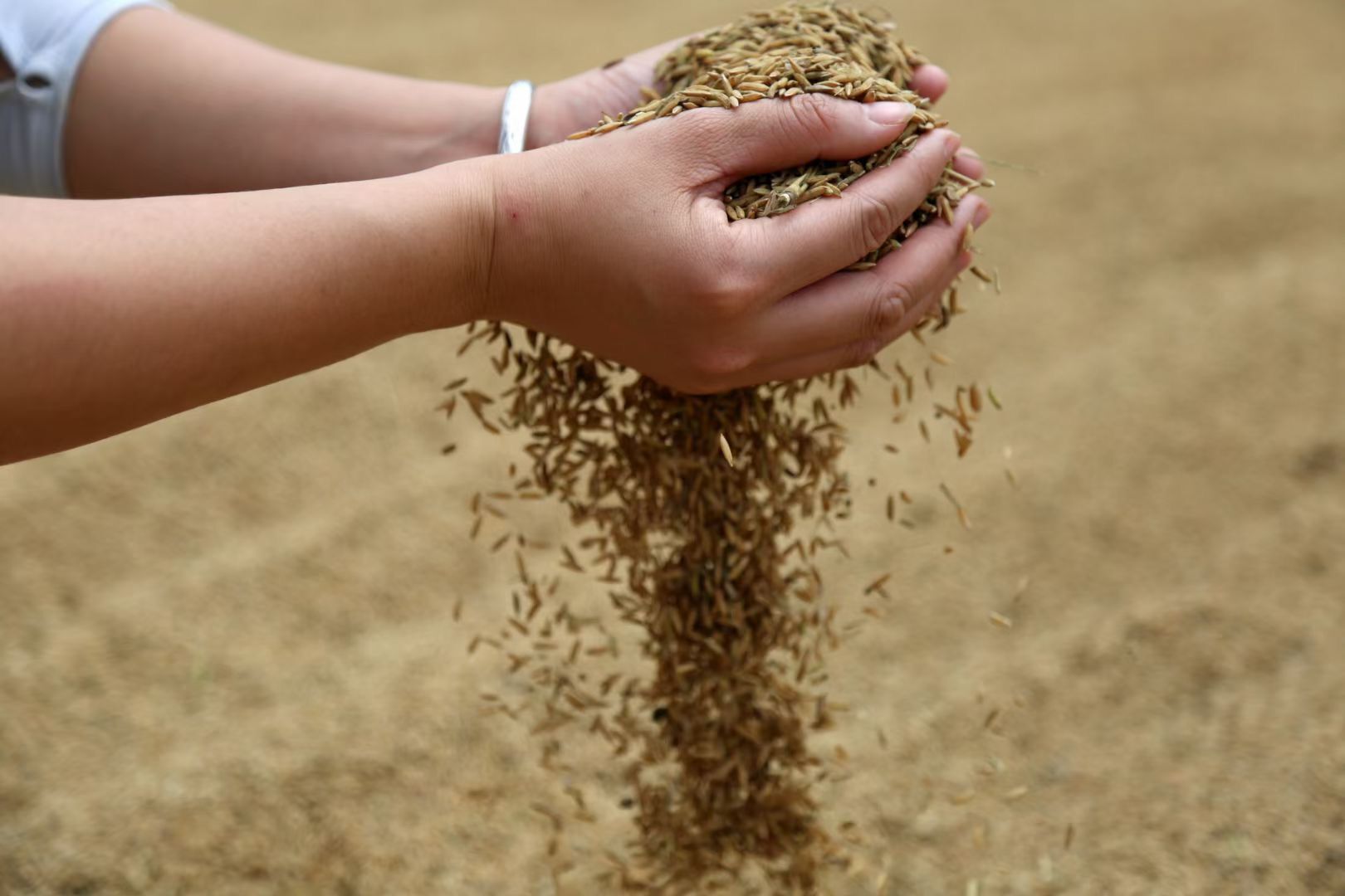 新米糍粑,糯米糍粑又香又糯纯手工