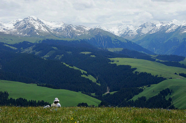 六月底的伊犁雪山,5月的伊犁草原