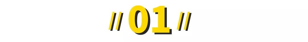 动物界的顶流,动物界熊猫顶流