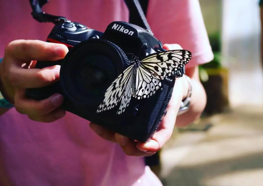 这座城市古老而又年轻,马来西亚的隐世小城