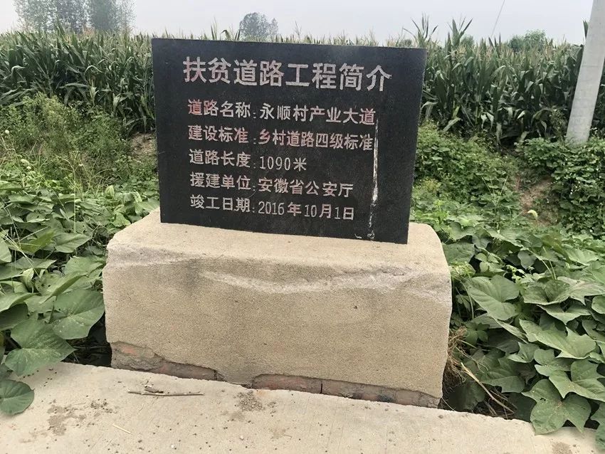 安徽乡村振兴重点帮扶县,乡村振兴省重点帮扶村