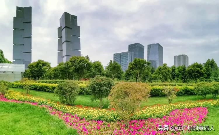 河南省城建税减半政策,洛阳的城建在河南省怎么样