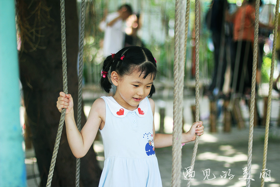 百万葵园有多坑,百万葵园免门票