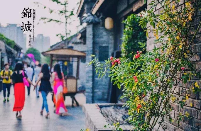 成都近郊10个免费景点,成都小众景点推荐