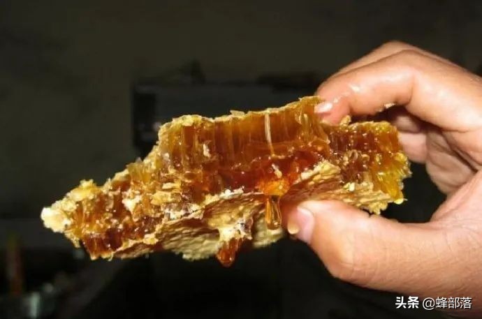 蜂产品出口外贸,蜂蜜蜂王浆出口