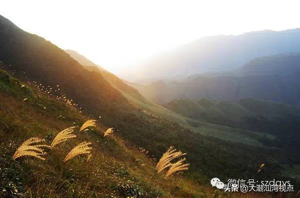 广东最美8个大草原,广东十大草原旅游地