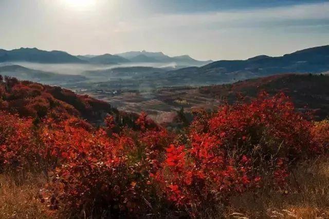 济南旅游景点推荐带孩子玩,济南旅游景点推荐适合带孩子