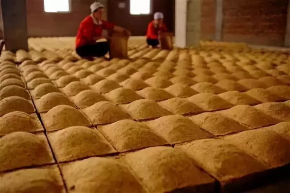 酿酒过程中如何选择酒曲,真全粮白酒怎么样