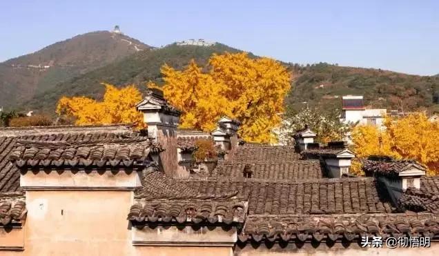 江苏旅游西山岛攻略图文,内湖洞庭西山岛