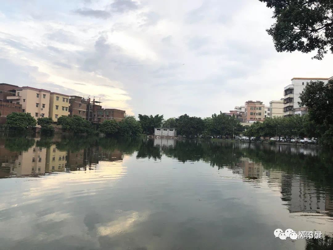 花都东镜村旧改2023计划,花都旧改重点