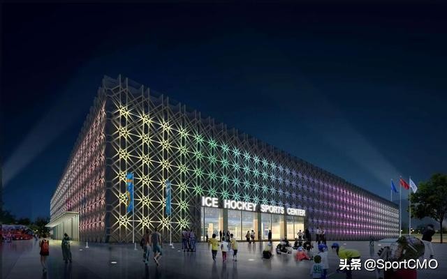 体育品牌合作运营模式,大型体育赛事冠名