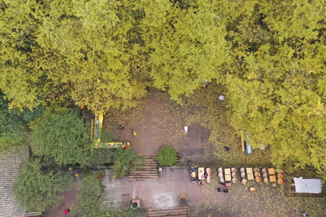 雅安旅行攻略亲子游,雅安市旅行攻略自由行路线