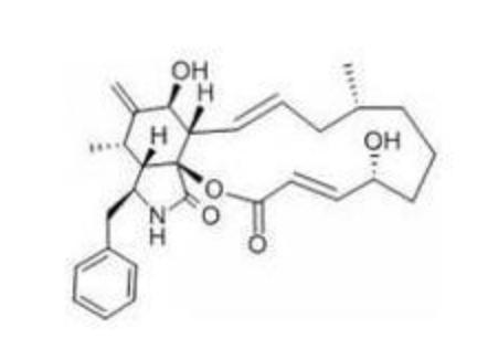 惊：产后女人更易瘦！1个原则，3个步骤，让松弛素变“塑形素”