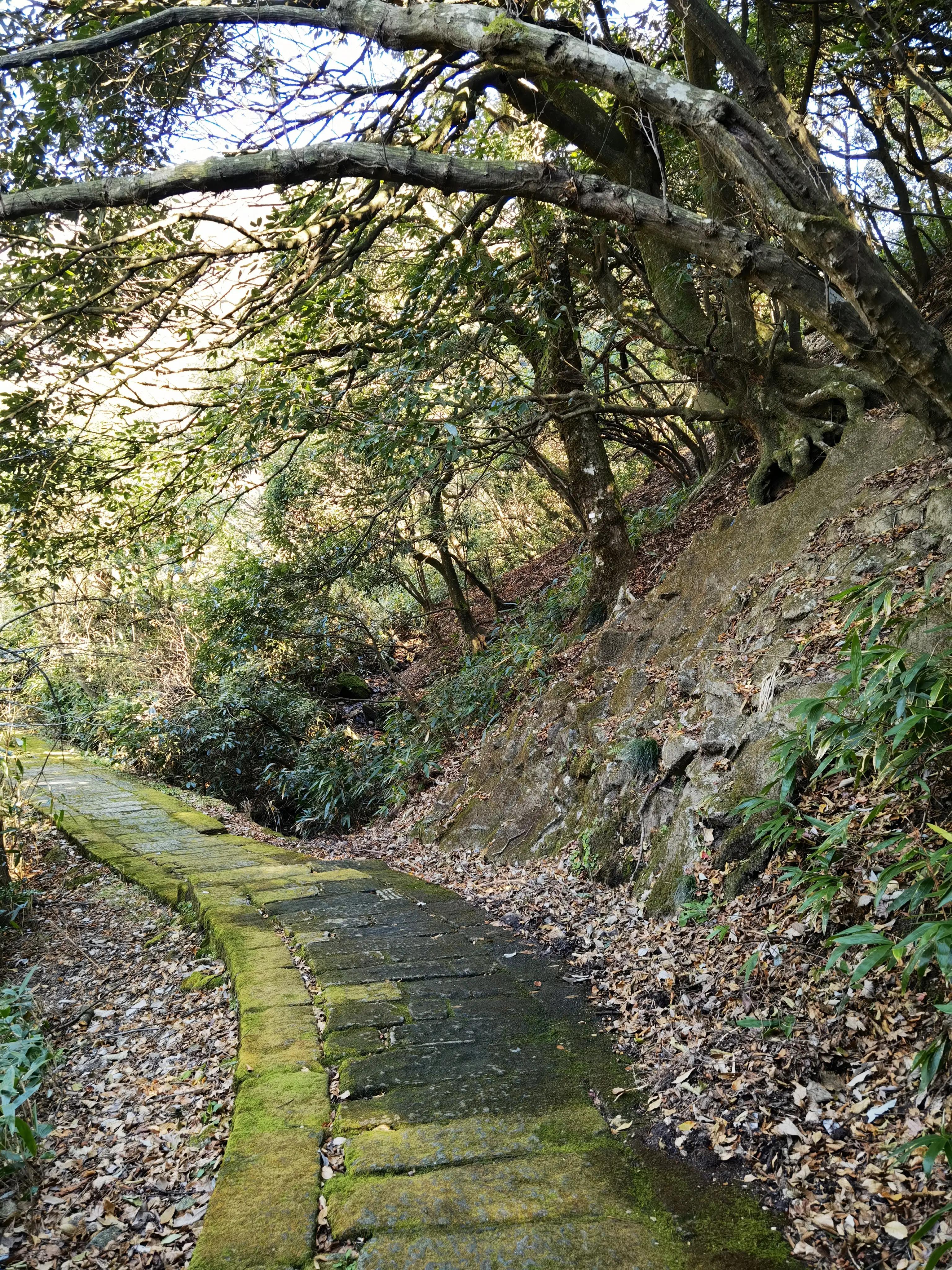 五岳独秀,五岳独秀图文