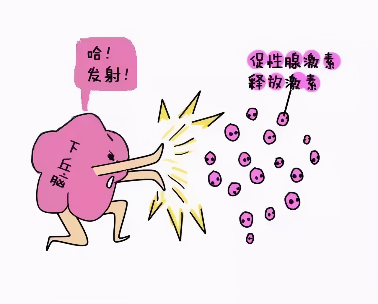 子宫内膜异位月经期疼痛,子宫内膜异位月经期怎么缓解疼痛