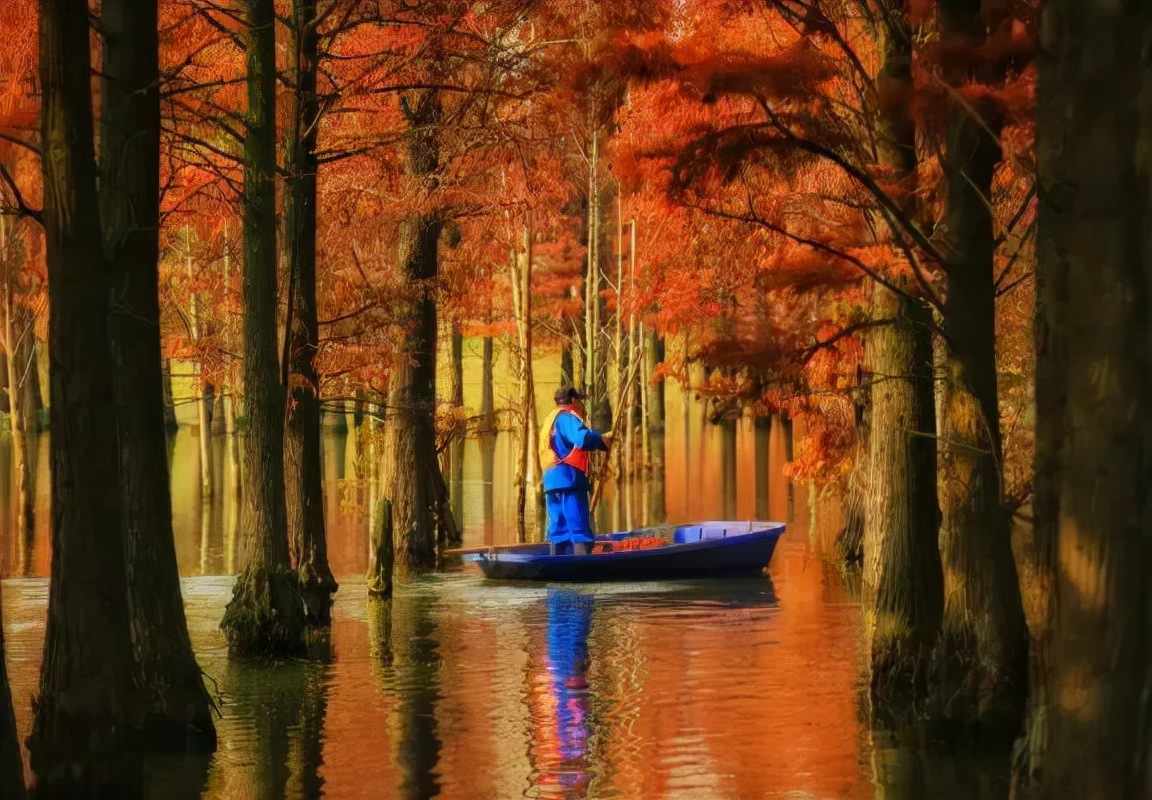 1011月错过它们,等于错过整个秋天!人少清净,随手一拍都是大片