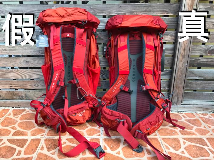 osprey小鹰登山包22l正品,osprey登山包小鹰和魔爪