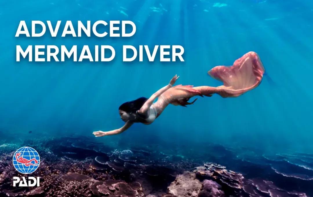 只要你愿意，就能圆你一个人鱼公主梦|美人鱼系列课程