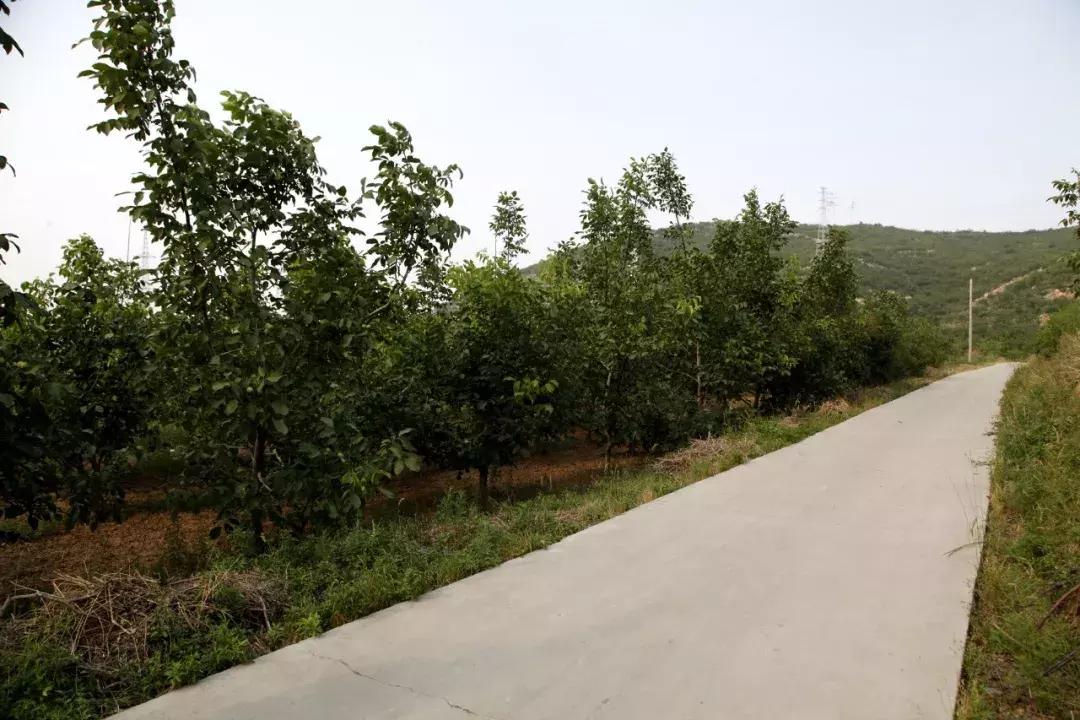 井陉县创业代理,井陉县加盟项目