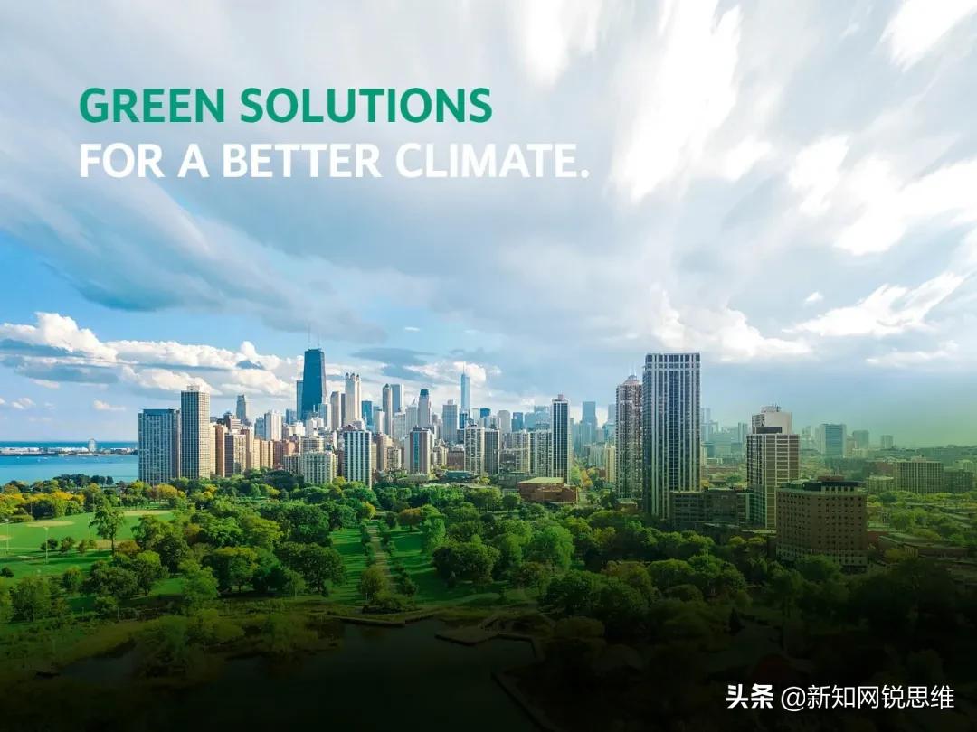 威乐杯足球邀请赛,威乐杯足球赛如何报名参加