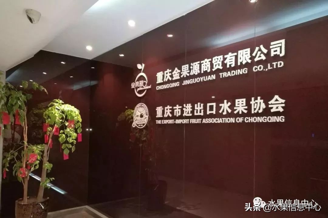 水果市场打拼的女人,卖水果的女人们