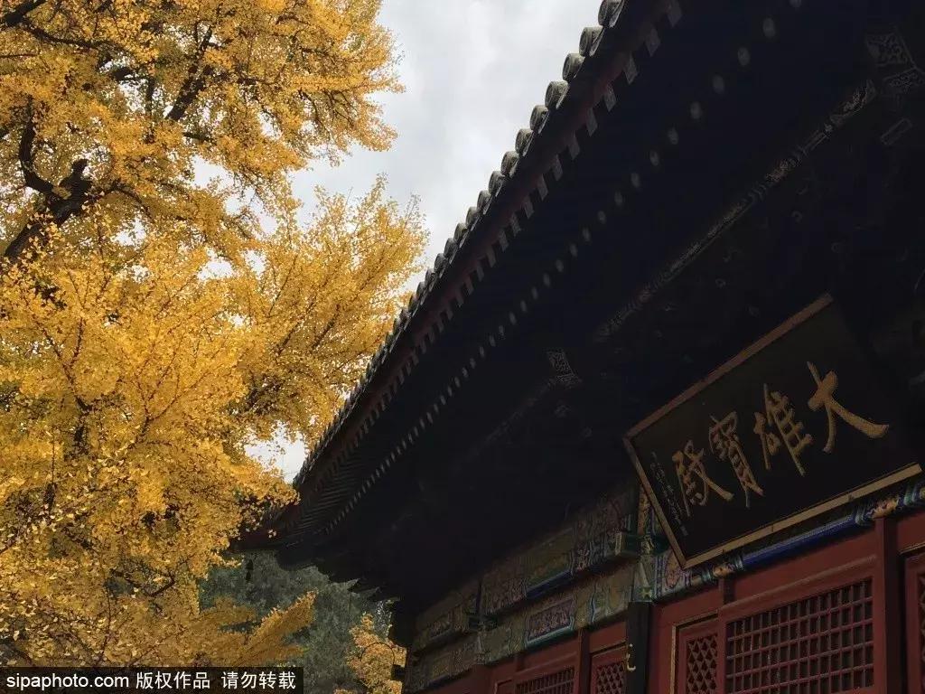 北京开往春天的小火车,北京开往春天的列车最佳游览时间