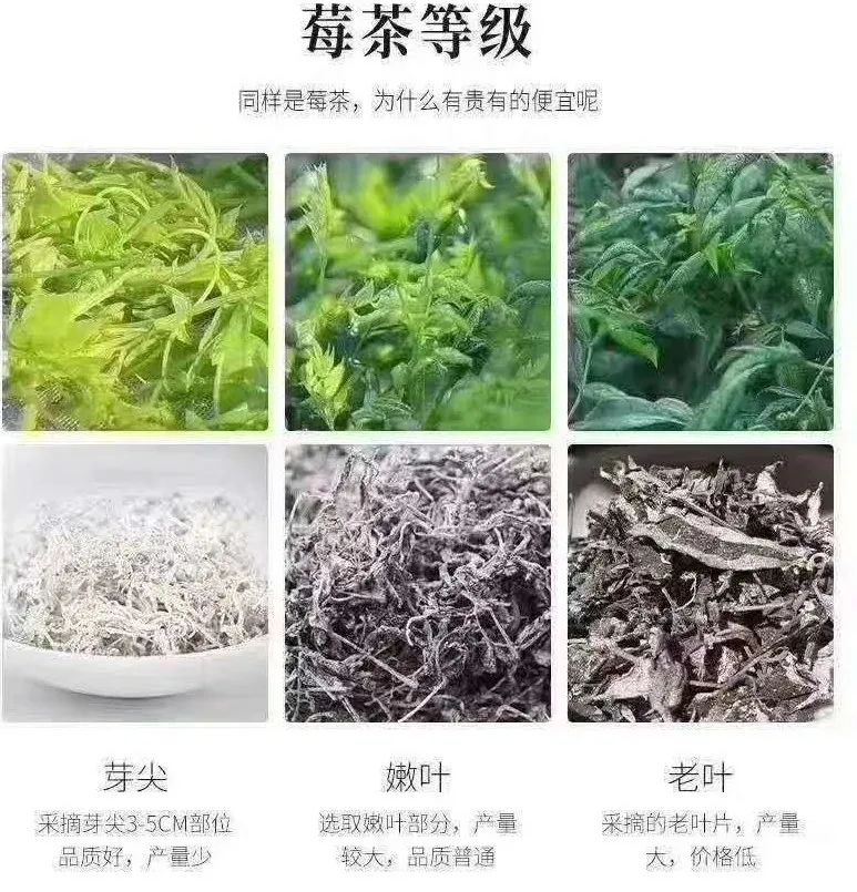 张家界的莓茶是什么植物,张家界的特级莓茶40克多少钱一盒