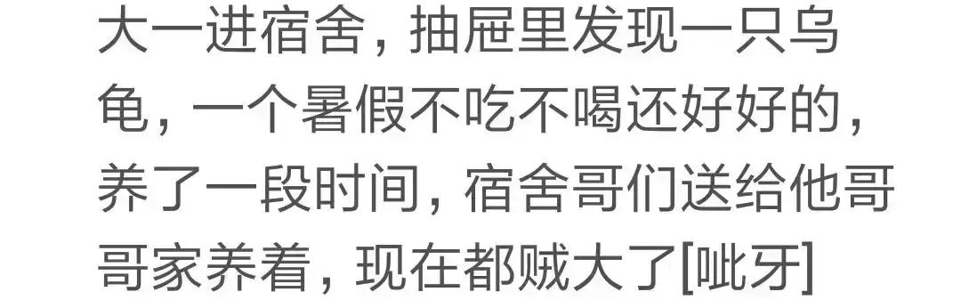 大学宿舍必备的硬盘,大学宿舍硬盘推荐