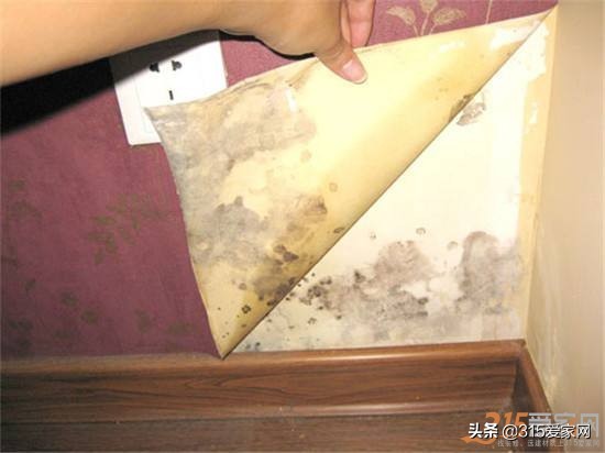 墙壁发霉怎么用砂纸打磨墙壁,墙壁返潮发霉和漏水发霉怎么区分