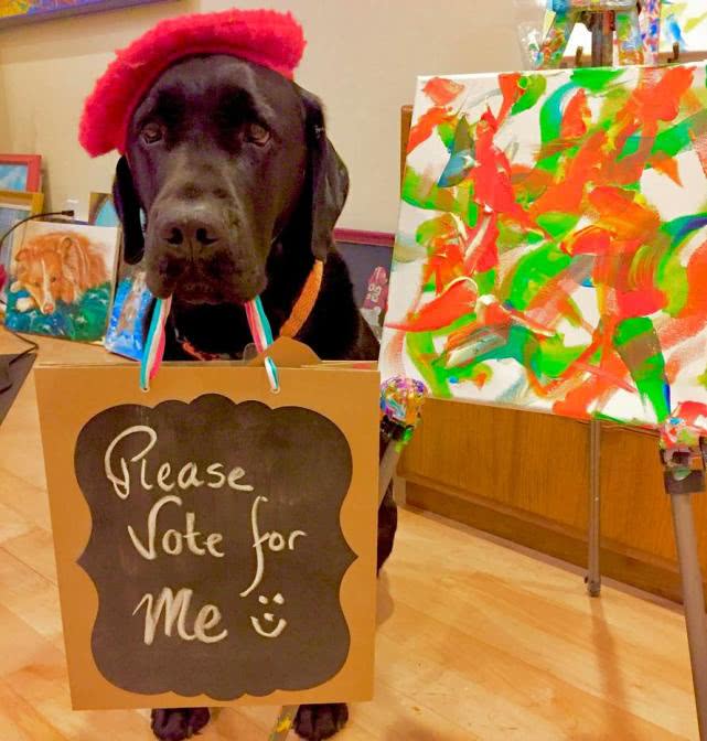 美狗狗艺术天分超群,被称“狗芬奇”将办画展,画作筹款140万