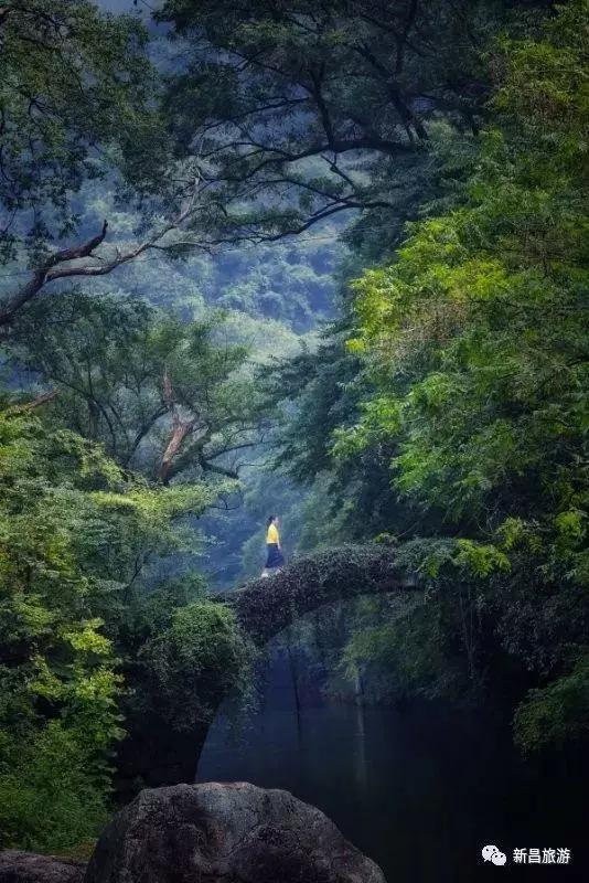 绍兴嵊州最美古村,绍兴最美古村落自驾游线路