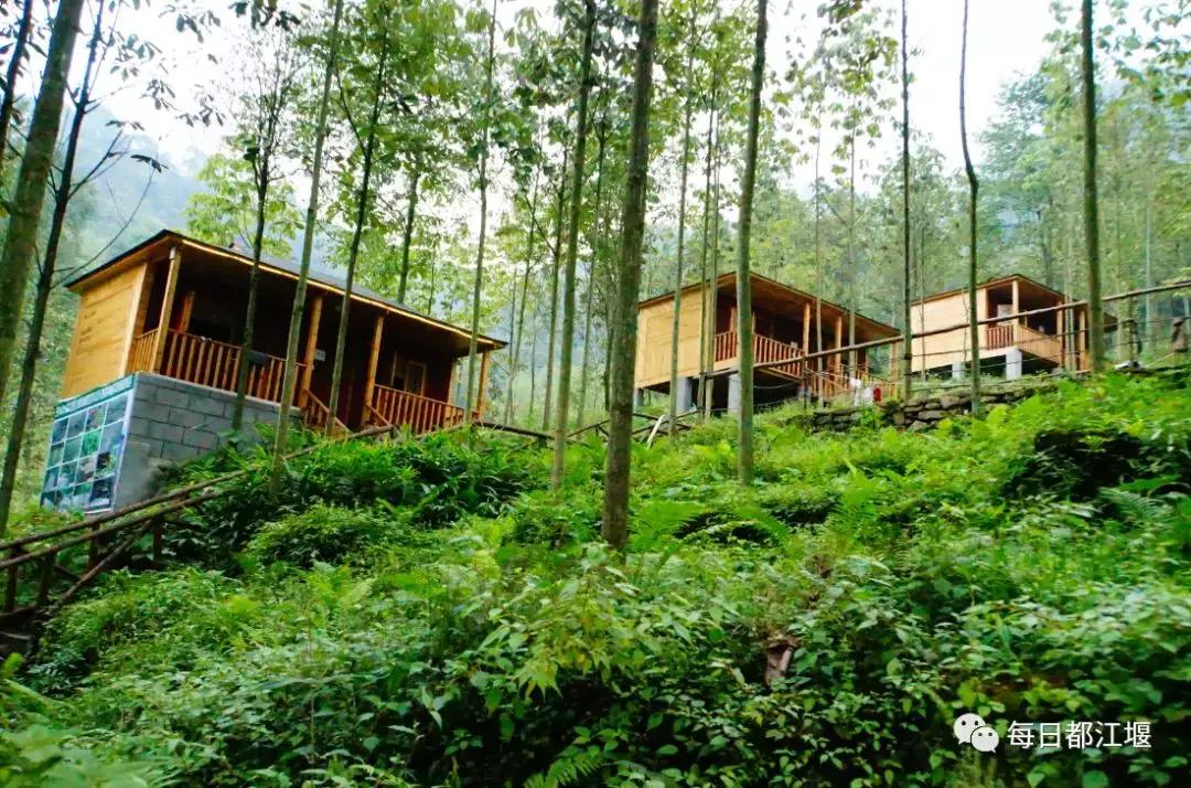 今日虹口漂流开放吗,虹口漂流今天天气预报