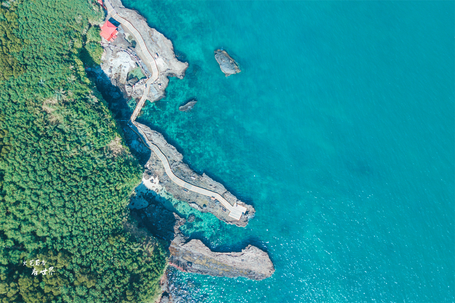 广西北海和东北的差异,东北人为何喜欢广西