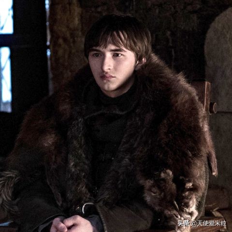 权力的游戏布兰登多余角色,权力的游戏布兰妮身份