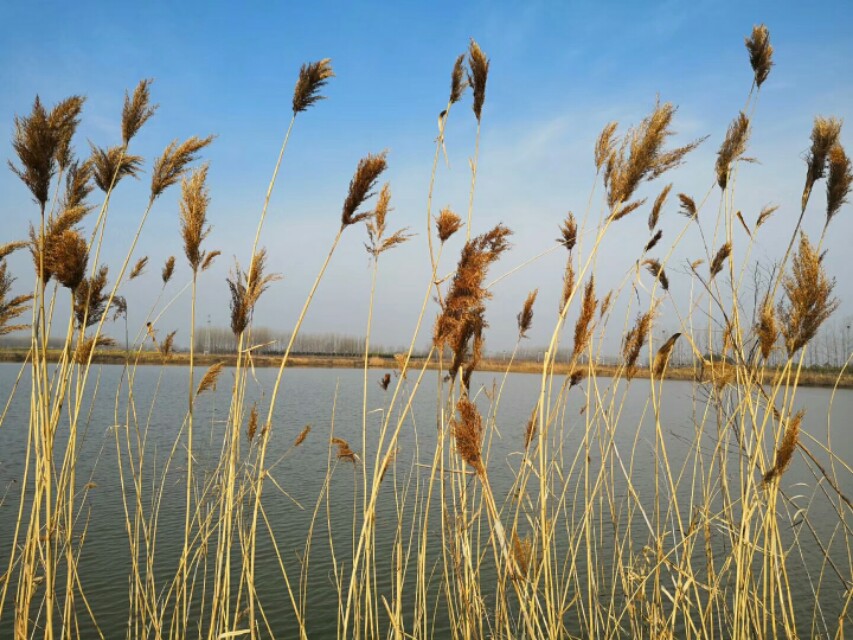 带近反义词的成语大全一起积累吧,小学成语近反义词大全