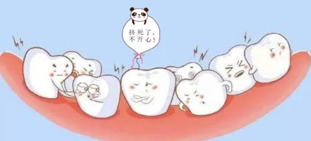 儿童牙齿六龄齿科普,儿童牙齿萌出顺序和年龄