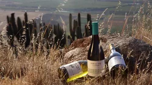 智利名庄酿乐 (智利名庄有哪些)