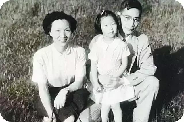 中科院最美的玫瑰,中科院玫瑰李佩