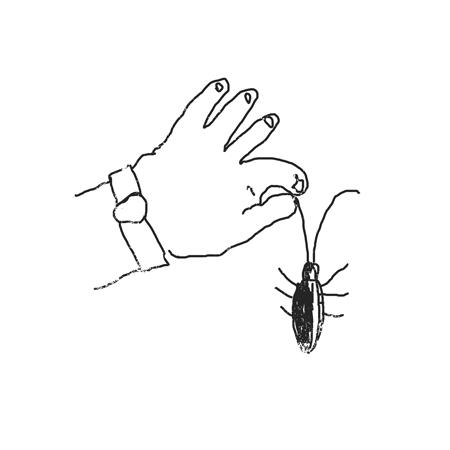 怎么样灭蟑螂最好用的方法,家庭灭蟑螂最好方法十招简单有效