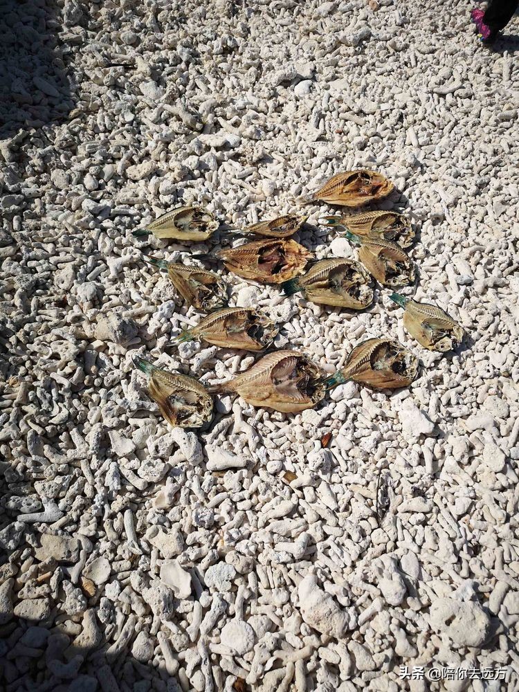 南海西沙岛礁全图,南海西沙群岛海域