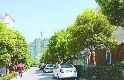 石家庄100个老旧小区整治名单,2024石家庄老旧小区改造施工时间