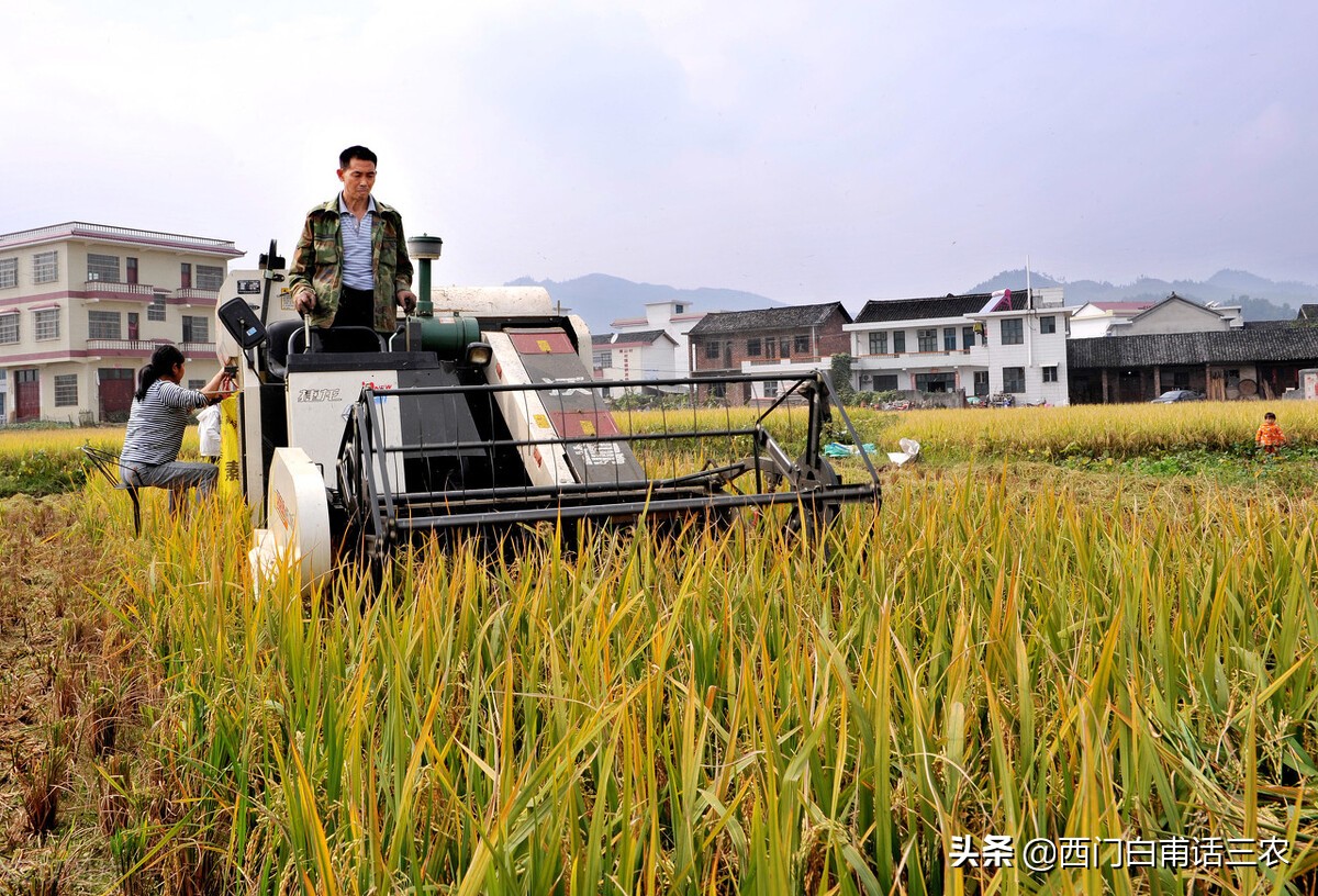 种粮大户租一亩地需要多少租金,安徽淮北种粮大户每亩租金补贴