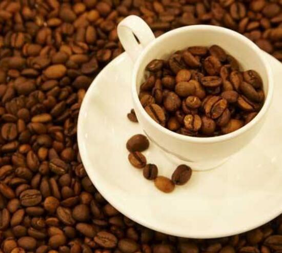 椰子猫吃东西,椰子猫喂咖啡豆