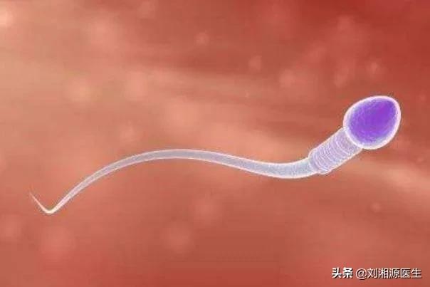 免疫相关妊娠,免疫相关不良反应指南