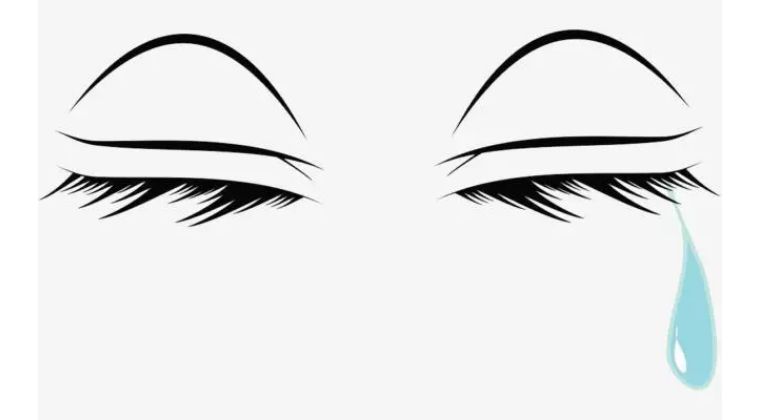 柳絮迷眼怎么办,柳絮弄得眼睛痒怎么办