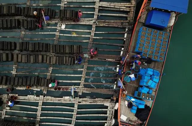 福建霞浦县：立足特色，培育品牌，农特产品插上电商之翼