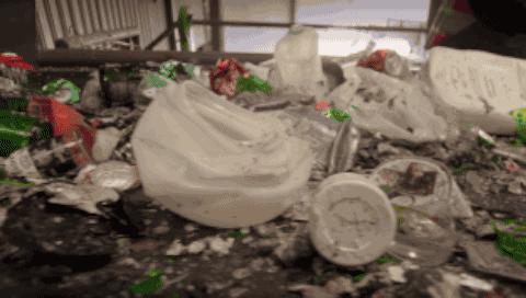 彭于晏苏有朋,彭于晏和苏有朋