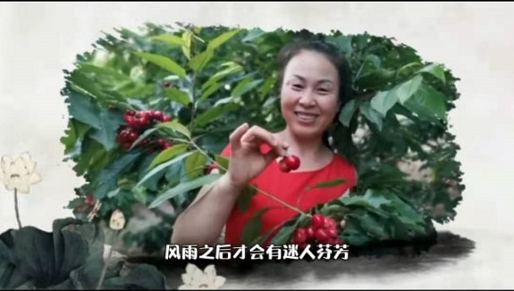 为新农人服务,为果农服务的一支团队