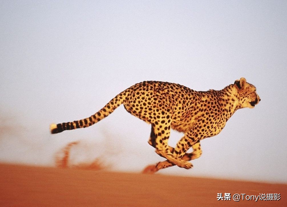 详解快门速度,领略不同曝光时间带来的魅力